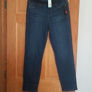 NWT Liverpool Fae Straight Leg Jean Size 10